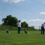 Border_1