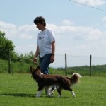 Border_5