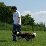 Border_6