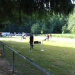 IMG_0018 IMG_0018