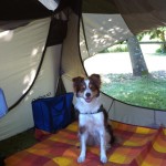 IMG_0030 IMG_0030
